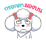 337389091