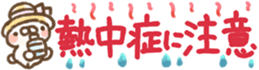 337396007