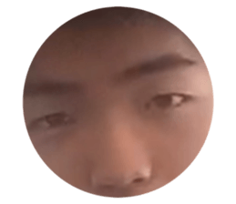 337416943