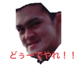 337423727
