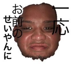 337423729