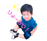 337424551