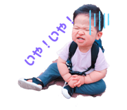 337424555