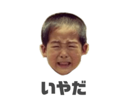 337466268