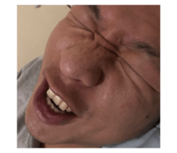 337484808
