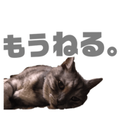 337496046