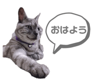 337496048