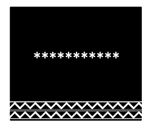 337498081