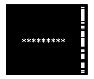 337498082