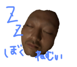337507791