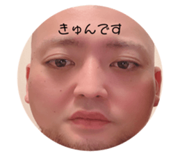 337507793