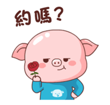 337515604