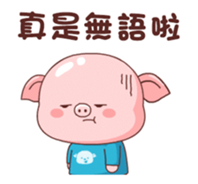 337515606