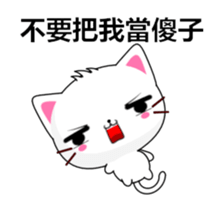 337525053