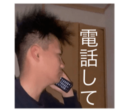 337529016