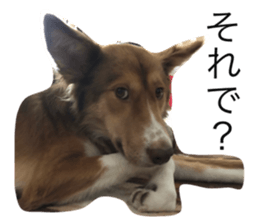337532339