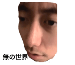 337535542