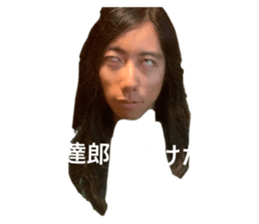337535547