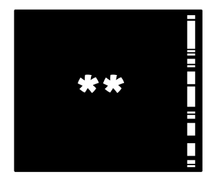 337541706