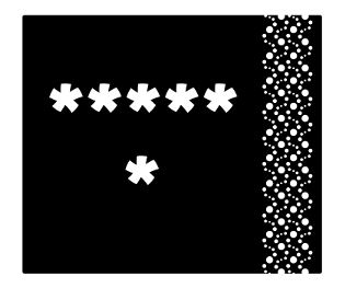 337541707