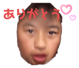 337556861