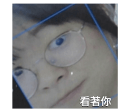 337566305