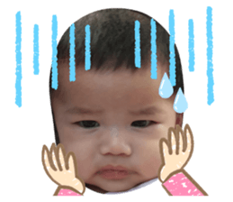 337613770
