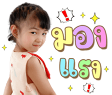 337614253
