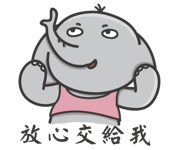 337629557