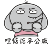 337629562