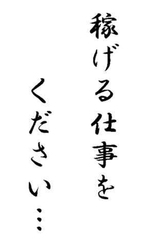 337644016