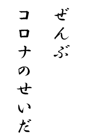 337644020