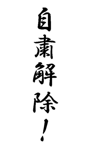 337644035