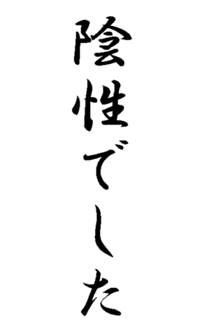 337644036