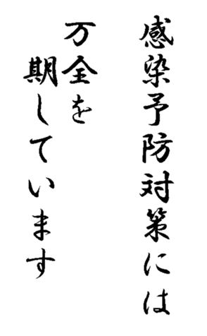 337644037