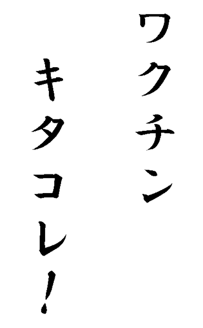 337644040