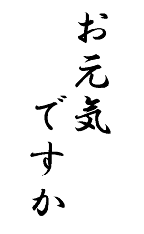 337644043
