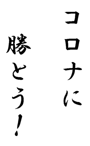 337644044