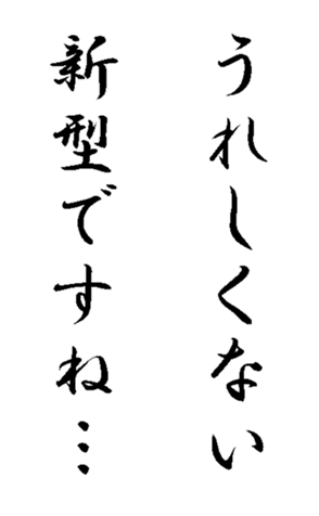 337644049