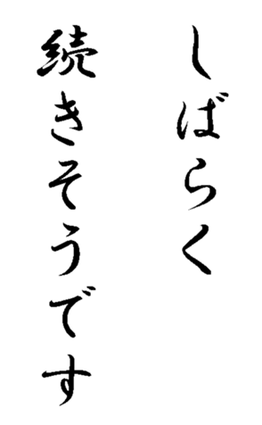 337644051