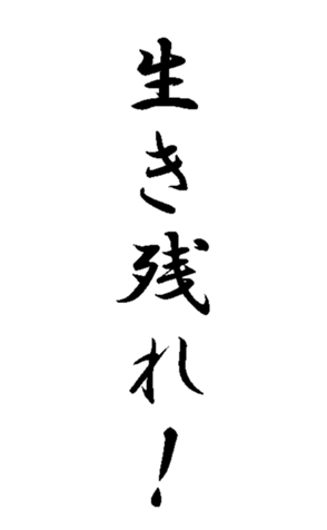 337644053