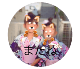 337696938