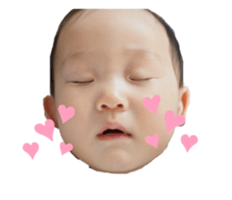 337702730