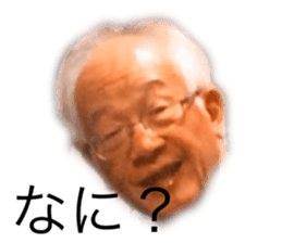337729263