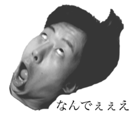 337739794