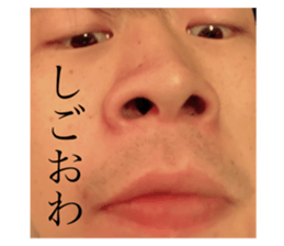 337739799
