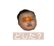 337750169