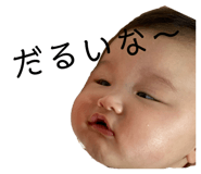 337750176