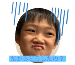 337754453