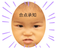 337756046